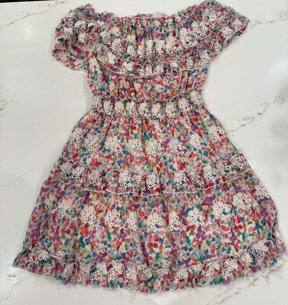 BTFL-life Embroidered Eyelet Floral Off-The-Shoulder Smocked Tiered Mini Dress
